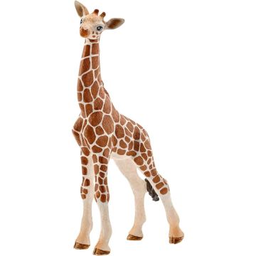 Schleich Wild Life Giraffenbaby