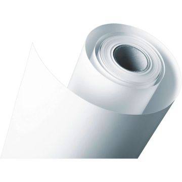 Epson Premium foto papīrs pusmatēts 61cm x 30,5m, 260 g
