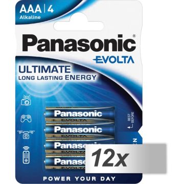 12x4 Panasonic Evolta LR 03 Micro PU inner box