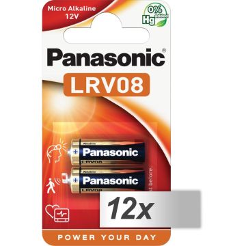 10x2 Panasonic LRV 08