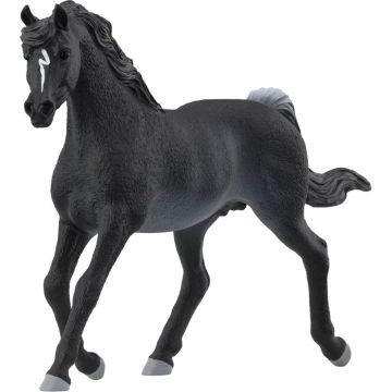 Schleich Zirgu klubs 13981 Arābu ērzelis