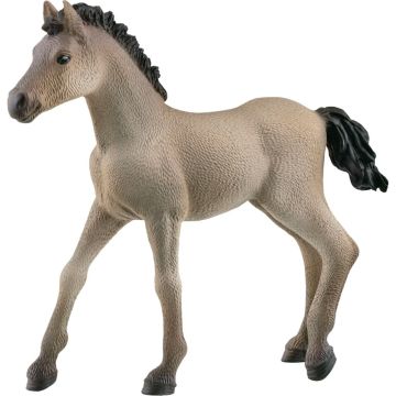 Schleich Horse Club 13949 Criollo Definitivo kumeļš