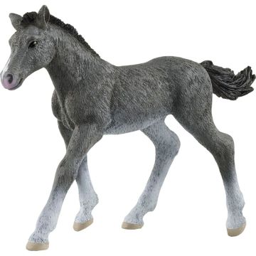 Schleich Zirgu klubs 13944 Trakehneru ērzelis