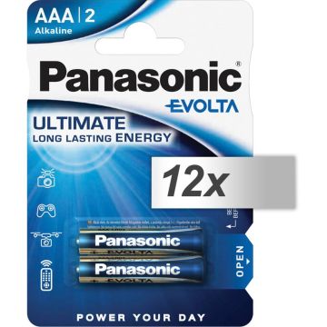 12x2 Panasonic Evolta LR 03 Micro LR03EGE/2BP