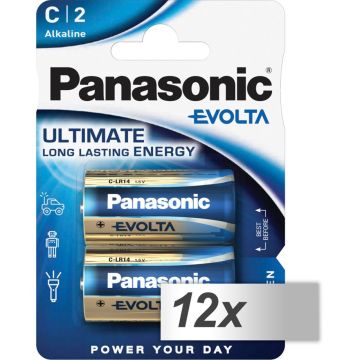 12x2 Panasonic Evolta Baby C LR 14 LR14EGE/2BP