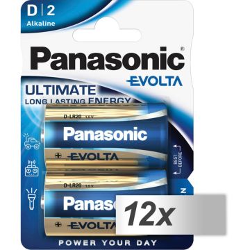 12x2 Panasonic Evolta Mono D LR 20 LR20EGE/2BP