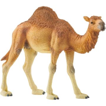 Schleich Wild Life 14832 Dromedary