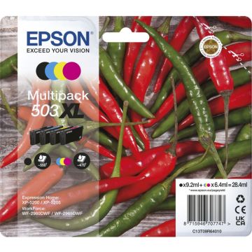 Epson multipaka BK/C/M/Y 503 XL T09R6