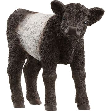 Schleich Farm World Galloway teļš 13969